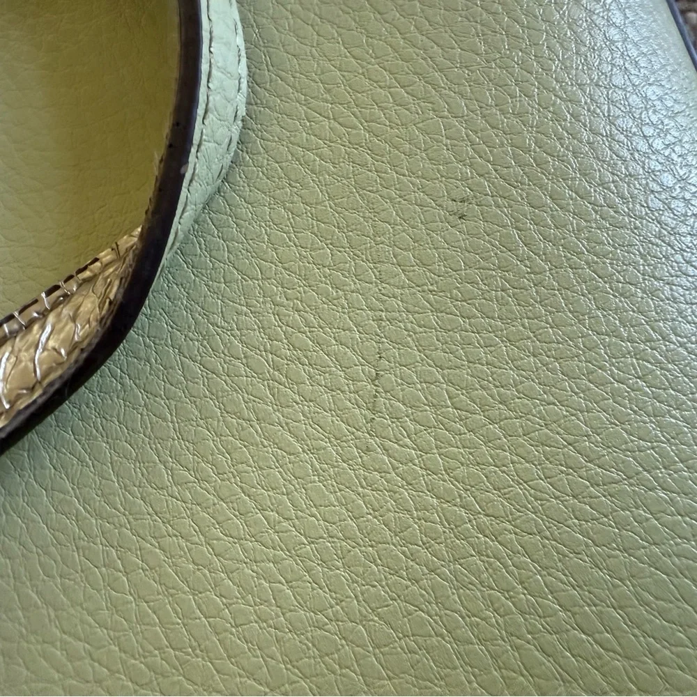 Anne Klein Lime Crossbody Boxy Dual Handle Snap Closure Purse and wristlet